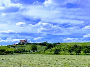 Volkach, Maria im Weingarten, Wein, Franken