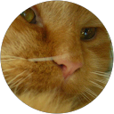 Uwe Laqua profile picture